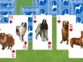 Gra Best in show: Solitaire