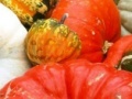 Gra Hidden Objects-Pumpkin Show