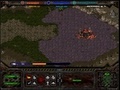 Gra Starcraft Flash Action 5
