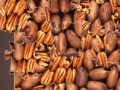Gra Pecan Mosaic Jigsaw
