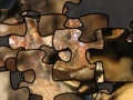 Gra Puzzle of the American toad