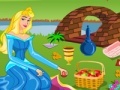 Gra Princess Aurora. Picnic cleaning