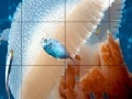 Gra Mosaic jellyfish slide puzzle