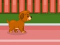 Gra Puppy racer