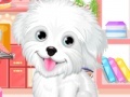 Gra Fluffy puppy pet: Spa and care