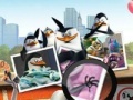 Gra Penguins of Madagascar Numbers