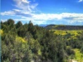 Gra Theodore Roosevelt national park jigsaw