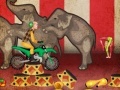 Gra Circus Biker