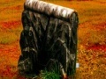 Gra Fall graveyard escape