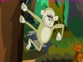 Gra Monkey Hidde Game
