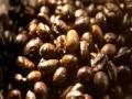 Gra Coffee beans slider