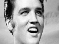 Gra Elvis Presley Memory