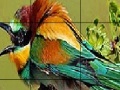 Gra Two Amazing Bird Puzzle