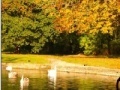 Gra Jigsaw: Autumn Pond