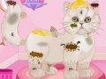 Gra Persian cat princess spa salon