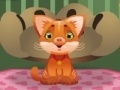 Gra My cat: New house