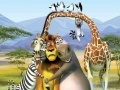Gra Madagascar: Jigsaw Puzzle