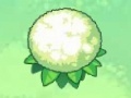 Gra Pokemon: Berry Barrel Blitz