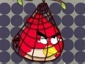Gra Surround Angry Bird