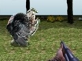 Gra Turkey Shooter 3D