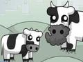 Gra Cowlorful