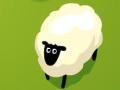 Gra Count Sheep