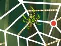 Gra Wild Kratts: Web-Tastic!