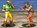 Gra Hardest Fighter 2