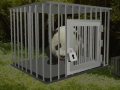 Gra Baby Panda Escape 