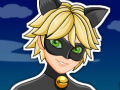 Gra Miraculous Ladybug Cat Noir