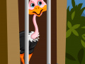 Gra Ostrich Rescue