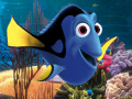Gra Dory Crush 