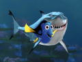 Gra Where is Dory