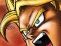 Gra Dragon Ball Fierce Fighting 2.6