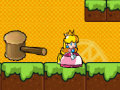 Gra Princess Peach Go Adventure 