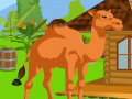 Gra Camel Calf Rescue