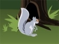 Gra Squirrel