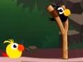 Gra Cute Birds Forest
