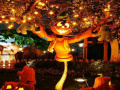 Gra Halloween Jack O Lantern Difference