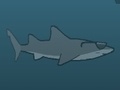 Gra New York Shark