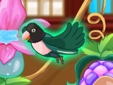 Gra My Sweet Bird