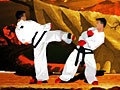 Gra TaeKwon-Do
