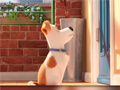 Gra Hidden Letters in The Secret Life of Pets
