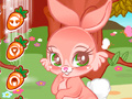 Gra Cute Bunny