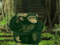 Gra Chimpanzee Forest Escape