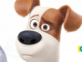 Gra The Secret life of Pets: PetMoji Creator