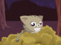 Gra Jump Kitty