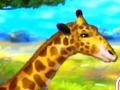 Gra Giraffe Zoo