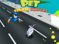 Gra Pet Subway Surfers
