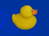 Gra Duck